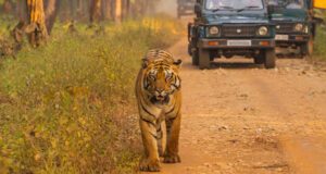 Hidden Places in Bihar to Visit: Discover the Untouched Gems 